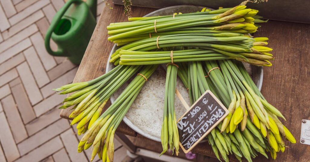 ギターと周辺機器をまとめて買取に出す様子