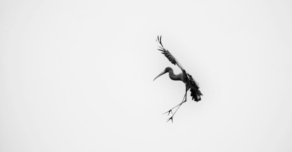 高価買取されるUFOキャッチャー景品の特徴を示したコレクションイメージ