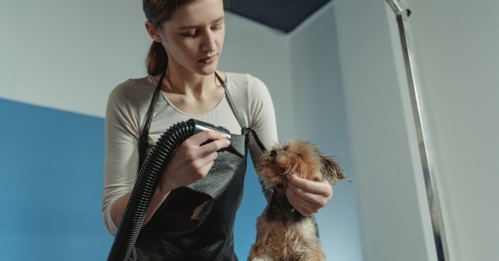 フィギュアをメンテナンスし美しく撮影する手順の紹介