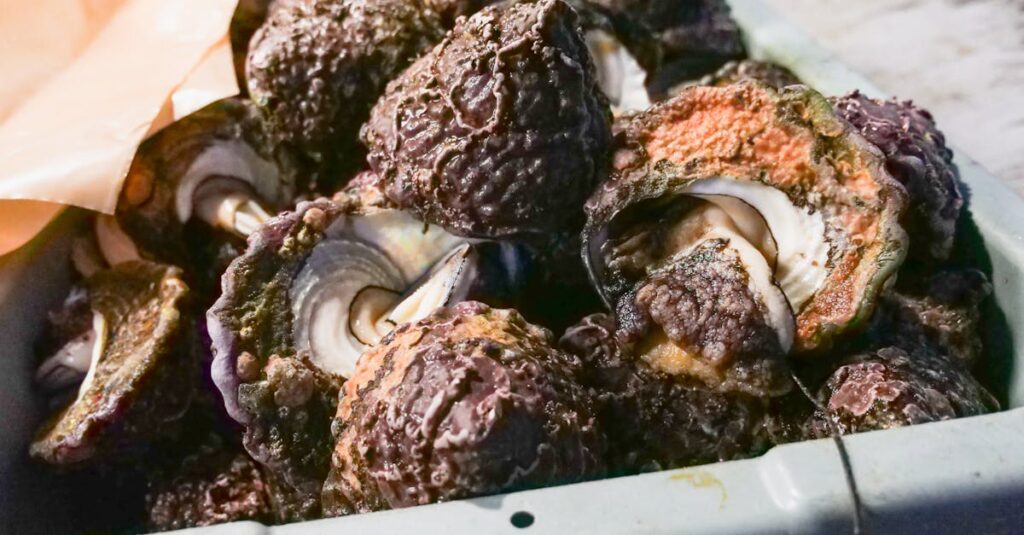 ゲームを宅配で売る前に準備しておくべきポイントをまとめた図解。付属品、タイミング、業者選びの重要性。